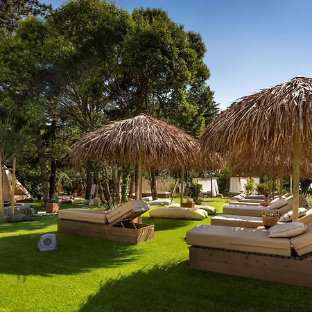ホテル Valamar Parentino