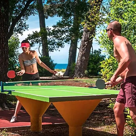 Hotel Valamar Parentino